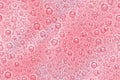 Pink seamless milkshake texture top view. Abstract vector pattern with bubbles Royalty Free Stock Photo