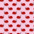 Pink seamless pattern with cute ladybird Royalty Free Stock Photo