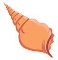 Pink seashell, icon