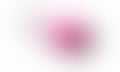 Pink shaded abstract blur background wallpaper, vector illustration. Royalty Free Stock Photo