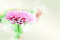 Pink shape colorful flower blooming watercolor illustration painting background. Royalty Free Stock Photo