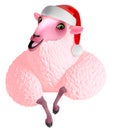 Pink sheep