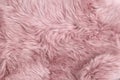 Pink sheep fur Natural sheepskin background texture Royalty Free Stock Photo