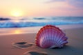 A pink shell on a sandy beach at sunset Royalty Free Stock Photo