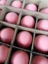 Pink shells preserved egg carm into the tabled paper case Royalty Free Stock Photo