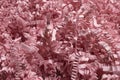 Pink shredded craft paper