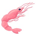 Pink shrimp cartoon character swimming underwater. Cute marine life seafood theme vector illustration