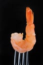 Pink shrimp on fork