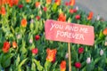 Pink sign in a bed of red tulips saying `you and me forever Royalty Free Stock Photo