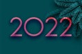 Pink 2022 sign with green spruce branches background Royalty Free Stock Photo