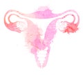 Pink silhouette anatomical uterus with watercolor splashes. Healthy female body. Woman power. Uterus with tube and ovaries. Vector