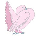 Pink silhouette dove Royalty Free Stock Photo