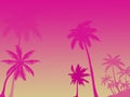 Pink silhouettes of palm trees on pink red background, several p