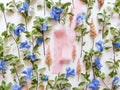 Pink silk ribbon, fresh greens, blue and pink flowers on white background. Cosmetics product advertising backdrop or background. Royalty Free Stock Photo