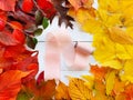 Pink silk ribbon and round frame of autumn bright colorful leaves on white wooden table. Top view. Fall flat lay, Free space for Royalty Free Stock Photo