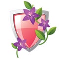 Pink and silver shield