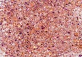 Pink, silver, violet and golden blurred sparkles on pink trendy background. Festive backdrop for your projects