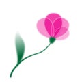 Pink single flower. Royalty Free Stock Photo