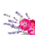 Pink single roses and lavender bouquet on the blurred background Royalty Free Stock Photo