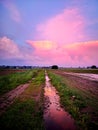 Pink sky after a storm Royalty Free Stock Photo