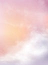 Pink sky in Pastels colur.pink sky vector background.
