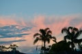 A pink sky at sunset with palm trees Royalty Free Stock Photo