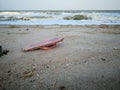 Pink slipper garbage washes up on beach