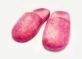 Pink slippers Royalty Free Stock Photo
