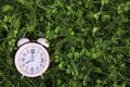 Pink small alarm clock on green grass outdoors, top view. Space for text Royalty Free Stock Photo