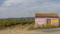 Pink small house on the corner near a vineyard Royalty Free Stock Photo