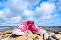 Pink sneakers on coast