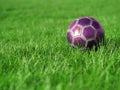 Pink Soccer Ball on Grass