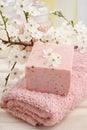 Pink spa set Royalty Free Stock Photo