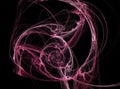 Pink spiral rose on black background Royalty Free Stock Photo