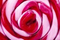 Pink Spiral Swirly Lollipop Closeup