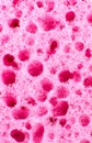 Pink sponge texture background. Close up, macro photo Royalty Free Stock Photo