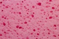 Pink sponge texture for background. Royalty Free Stock Photo