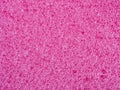 pink sponge texture Royalty Free Stock Photo