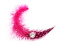 Pink spotted feather with diamond gem Royalty Free Stock Photo