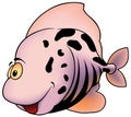 Pink Spotted Fish Royalty Free Stock Photo