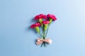 Pink spray carnation flowers bouquet on blue background Royalty Free Stock Photo