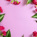Pink spray carnation flowers on light purple background Royalty Free Stock Photo