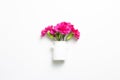 Pink spray carnation flowers in vase on white background Royalty Free Stock Photo