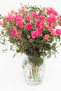 Pink spray roses bouquet in glass vase Royalty Free Stock Photo