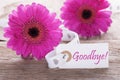 Pink Spring Gerbera, Label, Text Goodbye