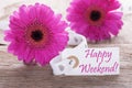 Pink Spring Gerbera, Label, Text Happy Weekend