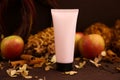 Pink squeeze bottle cosmetic tube with black cap, cinnamon, apples and dry hydrangea flowers on dark brown background, top view.