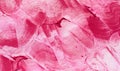 Pink stains of Indian holi colors on white background Royalty Free Stock Photo