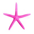 Pink starfish Royalty Free Stock Photo