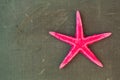 Pink starfish on a blackboard Royalty Free Stock Photo